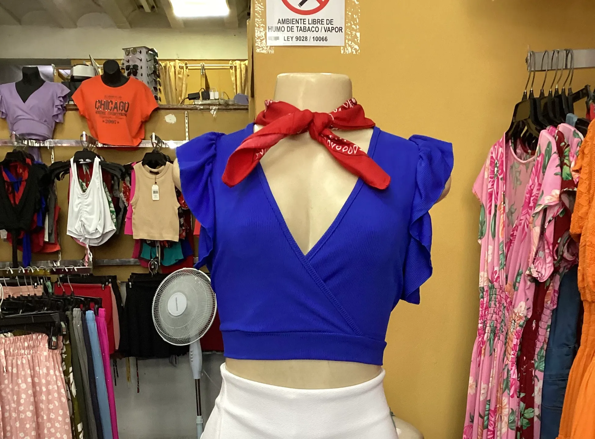 Blusa
