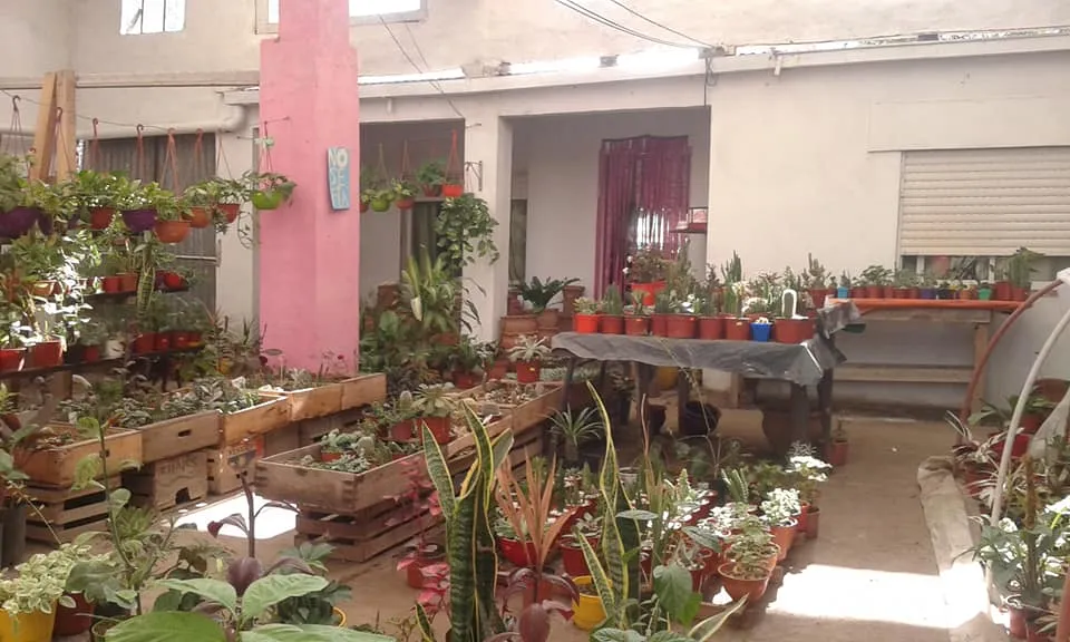 Vivero Rosita