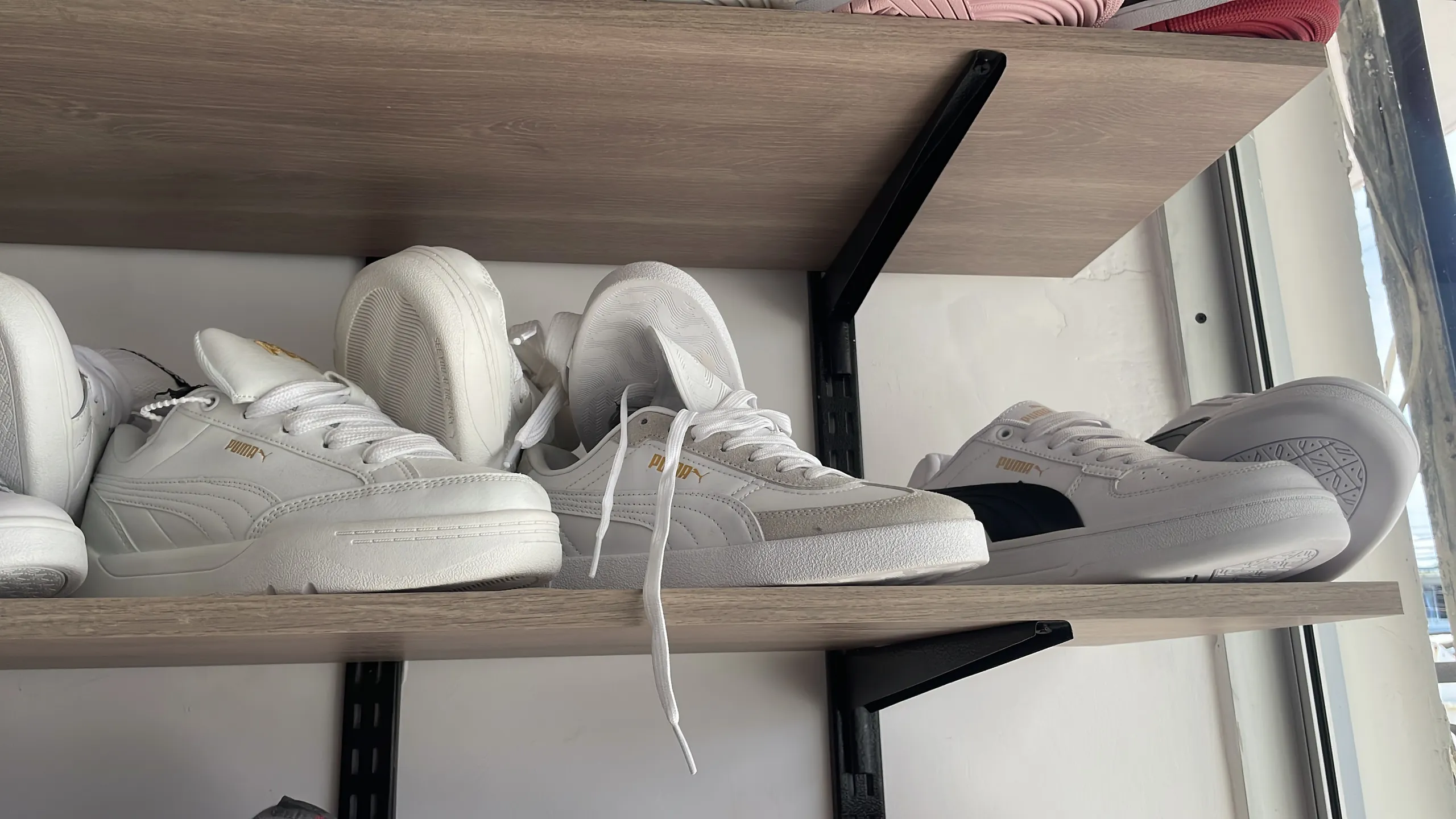 Tenis