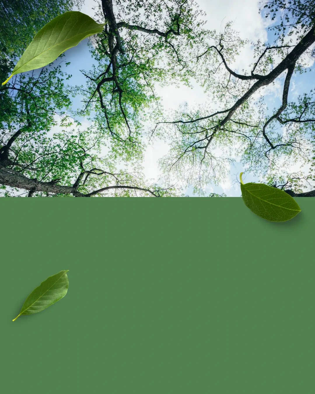 Ecogreen