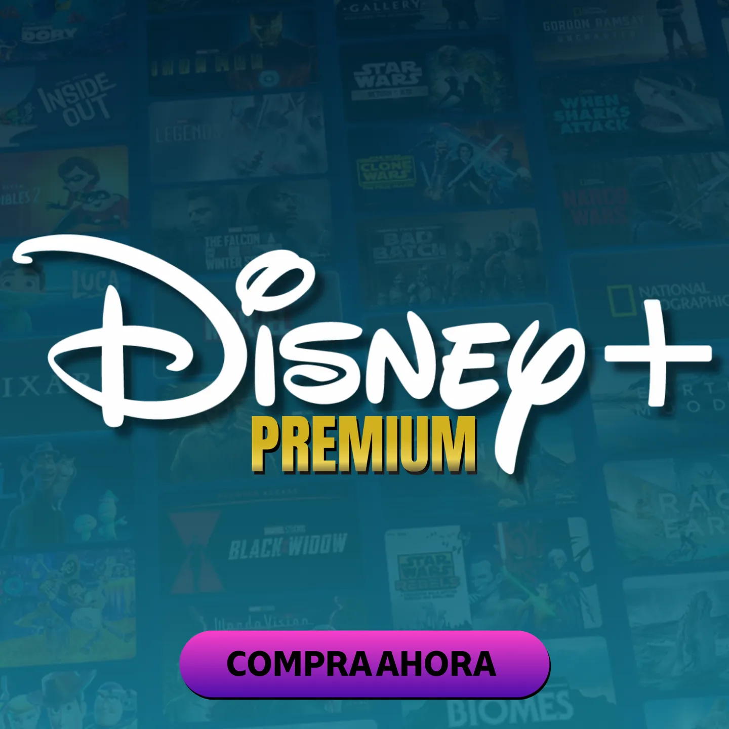 Disney Premium